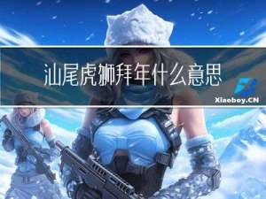 汕尾虎狮拜年什么意思