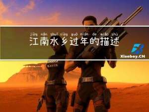 江南水乡过年的描述