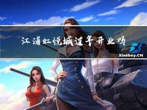 江浦虹悦城过年开业吗