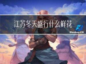 江苏冬天盛行什么鲜花