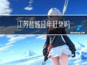 江苏盐城过年赶集吗