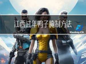 江西过年鸭子腌制方法窍门