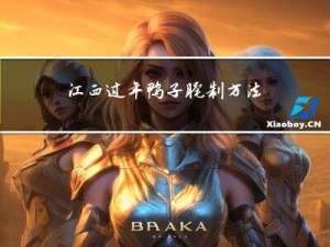 江西过年鸭子腌制方法视频