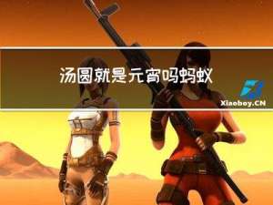 汤圆就是元宵吗蚂蚁