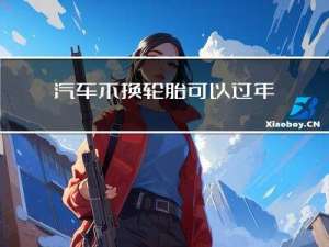 汽车不换轮胎可以过年检吗