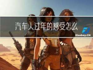 汽车人过年的感受怎么写