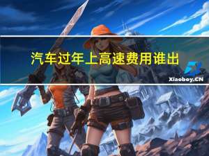 汽车过年上高速费用谁出