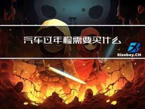 汽车过年检需要买什么险