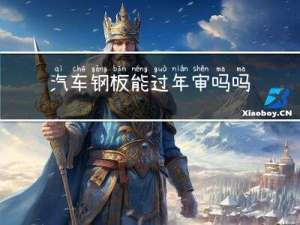 汽车钢板能过年审吗吗
