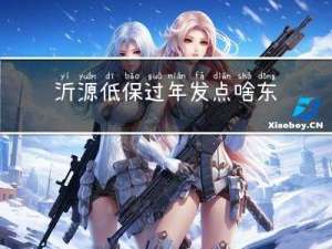 沂源低保过年发点啥东西