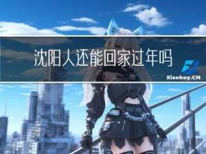 沈阳人还能回家过年吗今天