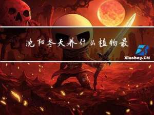 沈阳冬天养什么植物最好