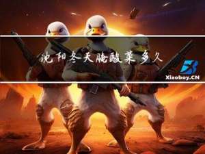 沈阳冬天腌酸菜多久