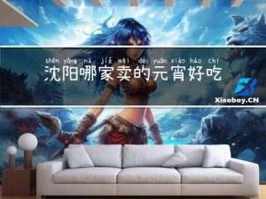 沈阳哪家卖的元宵好吃
