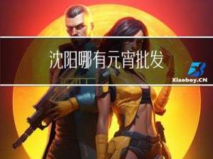 沈阳哪有元宵批发