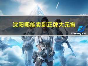 沈阳哪能卖到正牌大元宵
