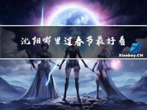 沈阳哪里过春节最好看