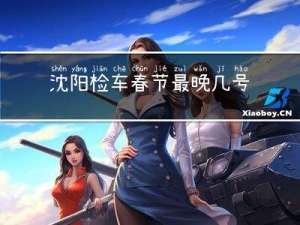 沈阳检车春节最晚几号