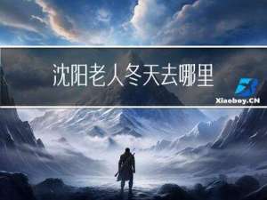 沈阳老人冬天去哪里