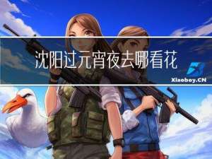 沈阳过元宵夜去哪看花灯