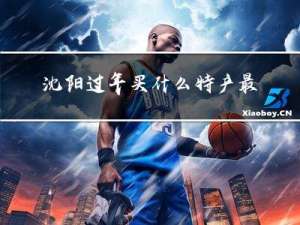 沈阳过年买什么特产最好