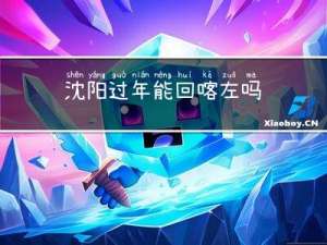 沈阳过年能回喀左吗