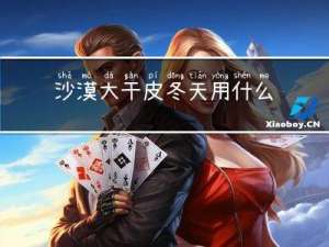 沙漠大干皮冬天用什么