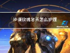 沙漠玫瑰冬天怎么护理好