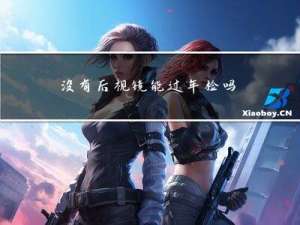 没有后视镜能过年检吗