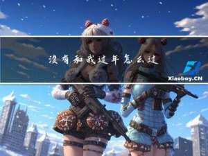 没有和我过年怎么过