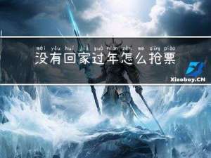 没有回家过年怎么抢票