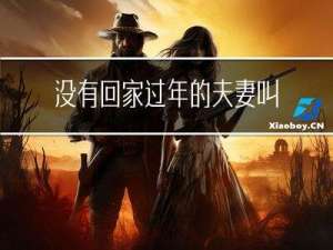 没有回家过年的夫妻叫什么