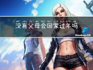 没有父母会回家过年吗英文