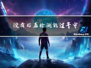 没有胎压检测能过年审吗
