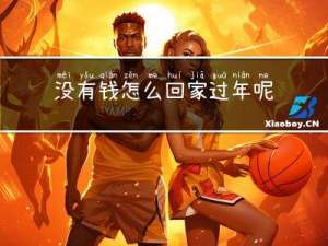 没有钱怎么回家过年呢作文