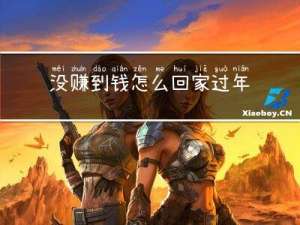 没赚到钱怎么回家过年影视