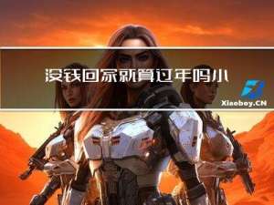 没钱回家就算过年吗小说