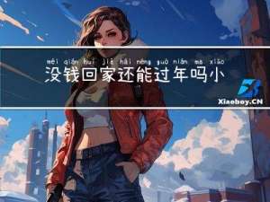 没钱回家还能过年吗小说