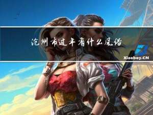 沧州市过年有什么风俗作文