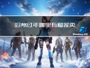 沧州过年哪里有榴莲卖