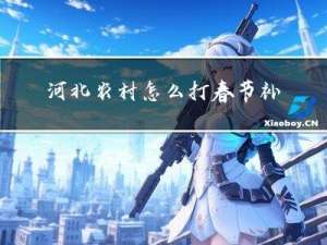 河北农村怎么打春节补贴