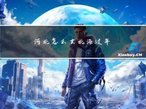 河北怎么去北海过年