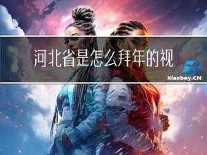 河北省是怎么拜年的视频