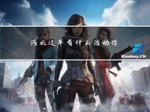 河北过年有什么活动作文