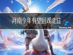 河南今年有望回湖北过年吗