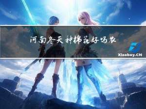 河南冬天种棉花好吗农村