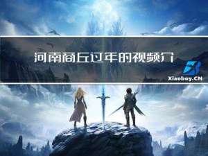 河南商丘过年的视频介绍