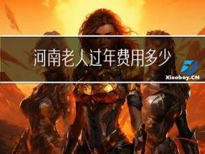 河南老人过年费用多少