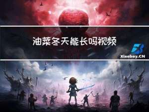 油菜冬天能长吗视频