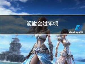 泥鳅会过年吗